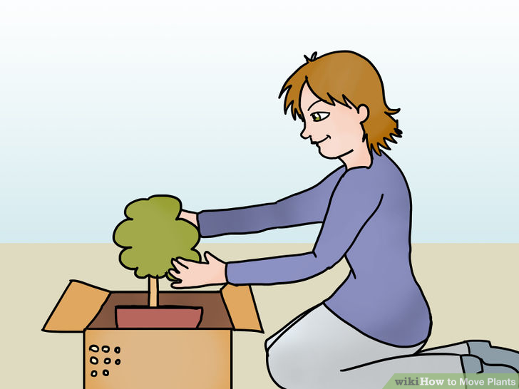 Move Plants Step 8